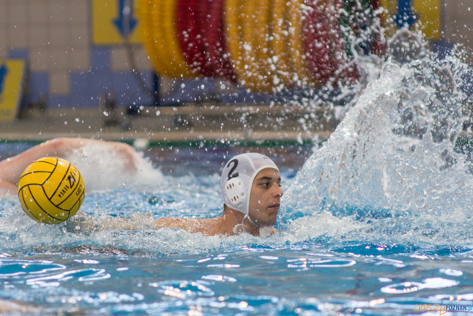 KS Waterpolo Poznań - Arkonia Szczecin Foto: lepszyPOZNAN.pl / Ewelina Jaśkowiak KS Waterpolo Poznań - Arkonia Szczecin Foto: lepszyPOZNAN.pl / Ewelina Jaśkowiak