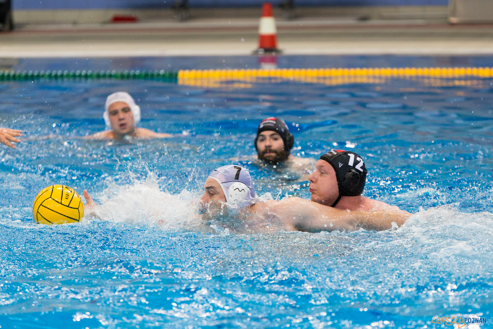 Waterpolo Poznań - Arkonia Szczecin Foto: lepszyPOZNAN.pl/Piotr Rychter Waterpolo Poznań - Arkonia Szczecin Foto: lepszyPOZNAN.pl/Piotr Rychter