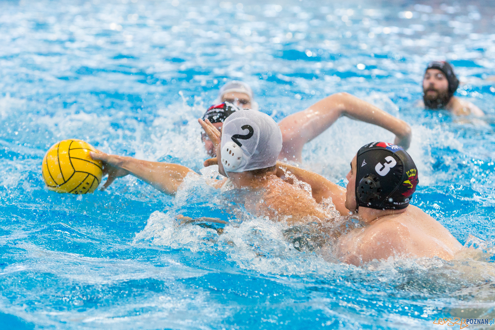 Waterpolo Poznań - Arkonia Szczecin Foto: lepszyPOZNAN.pl/Piotr Rychter Waterpolo Poznań - Arkonia Szczecin Foto: lepszyPOZNAN.pl/Piotr Rychter
