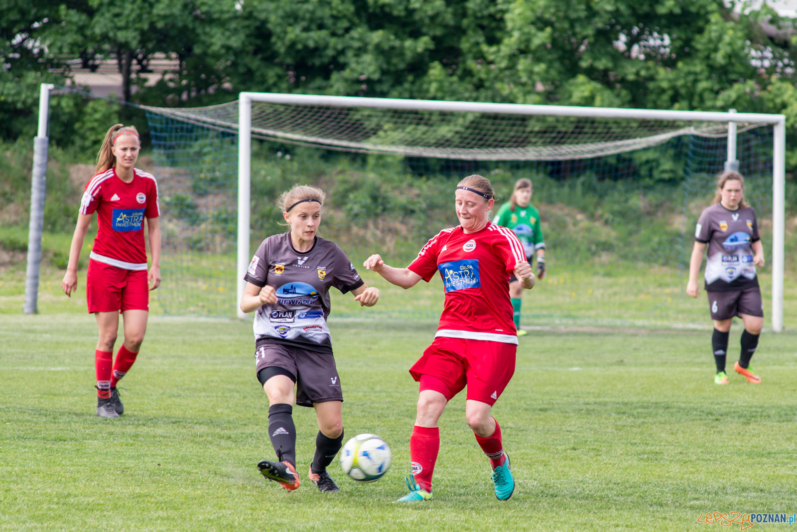 TS Polonia Poznań vs MUKS "Dargfil" Tomaszów Mazowiecki Foto: lepszyPOZNAN.pl / Ewelina Jaśkowiak TS Polonia Poznań vs MUKS "Dargfil" Tomaszów Mazowiecki Foto: lepszyPOZNAN.pl / Ewelina Jaśkowiak