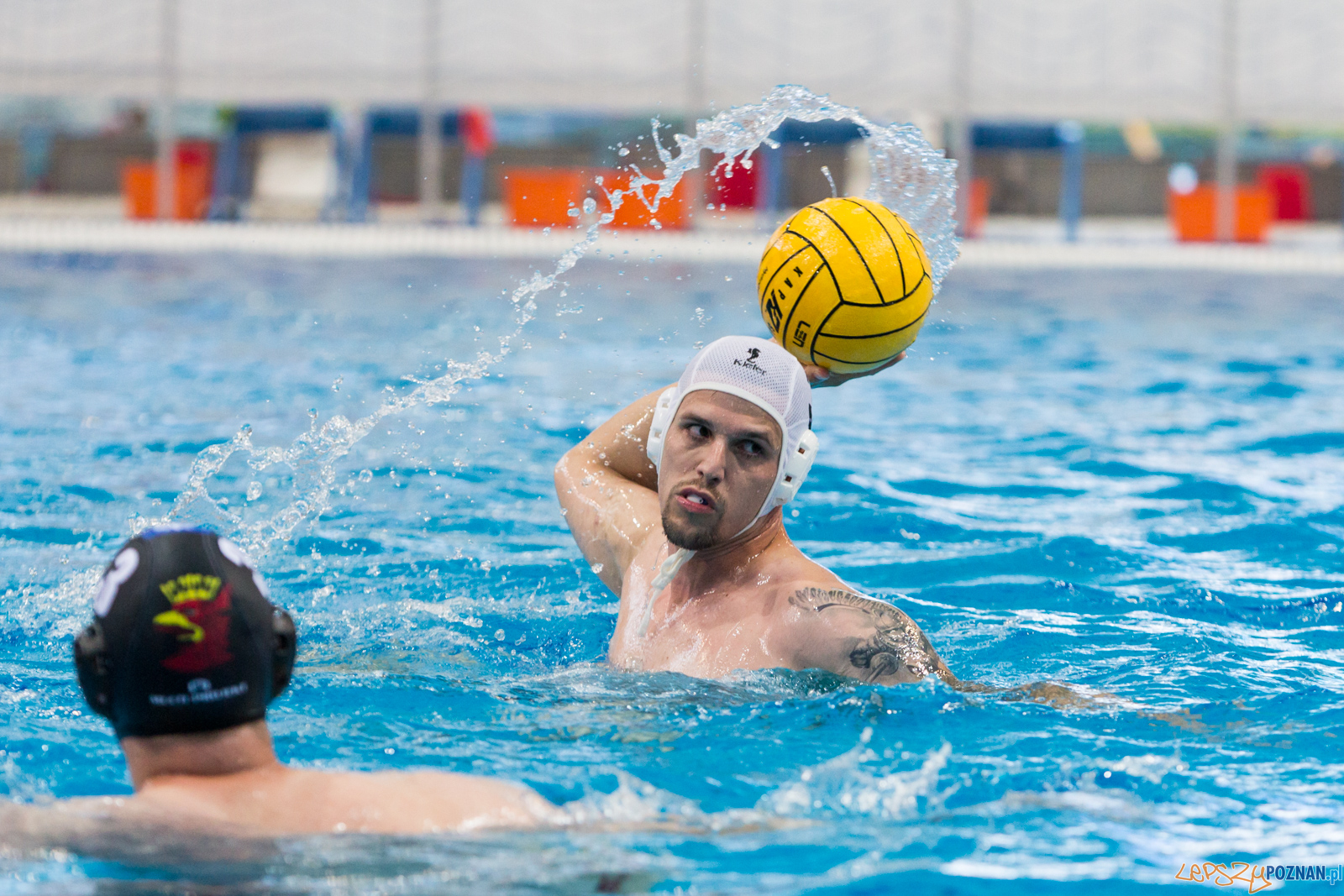 Waterpolo Poznań - Arkonia Szczecin Foto: lepszyPOZNAN.pl/Piotr Rychter Waterpolo Poznań - Arkonia Szczecin Foto: lepszyPOZNAN.pl/Piotr Rychter