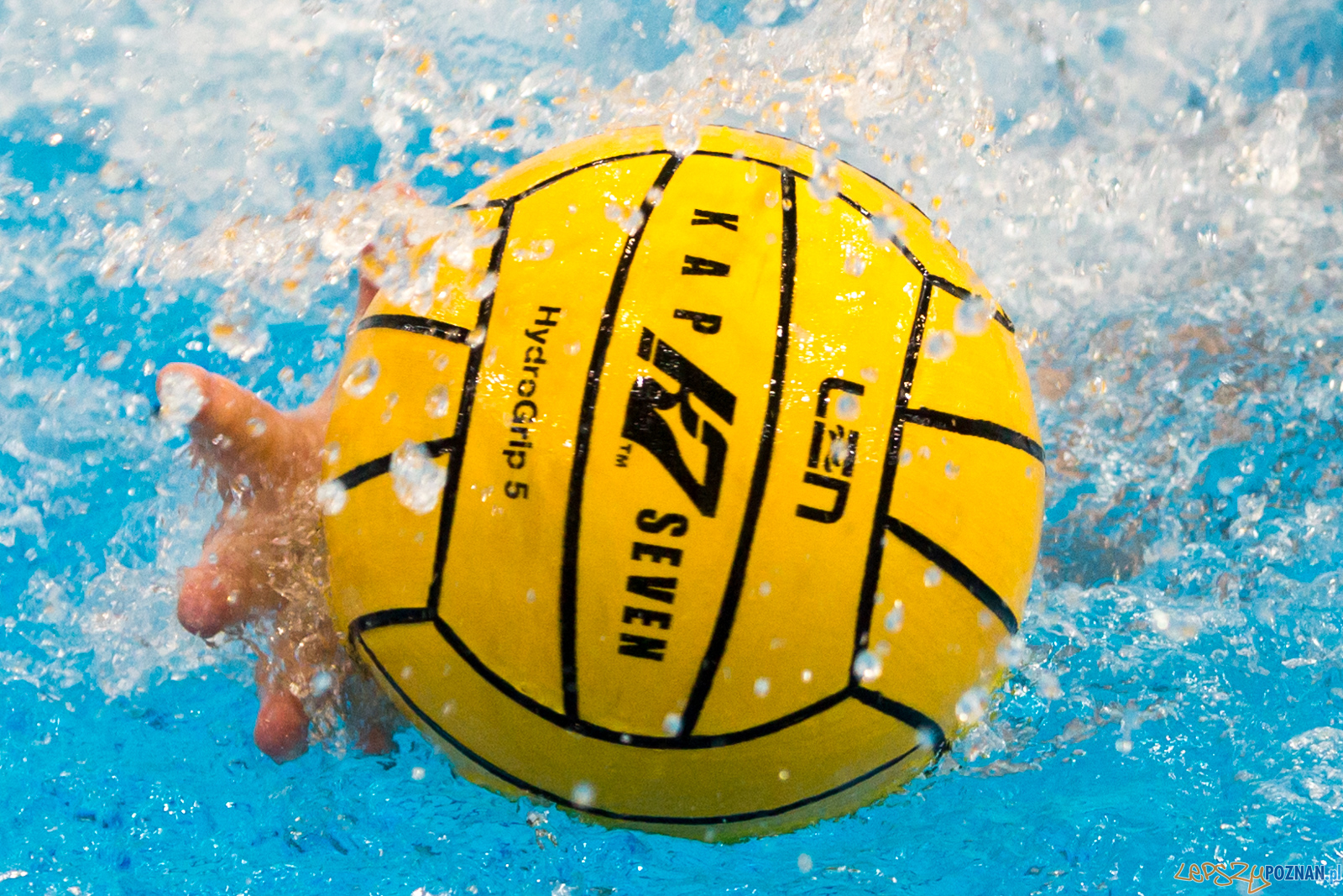 Waterpolo Poznań - Arkonia Szczecin Foto: lepszyPOZNAN.pl/Piotr Rychter Waterpolo Poznań - Arkonia Szczecin Foto: lepszyPOZNAN.pl/Piotr Rychter