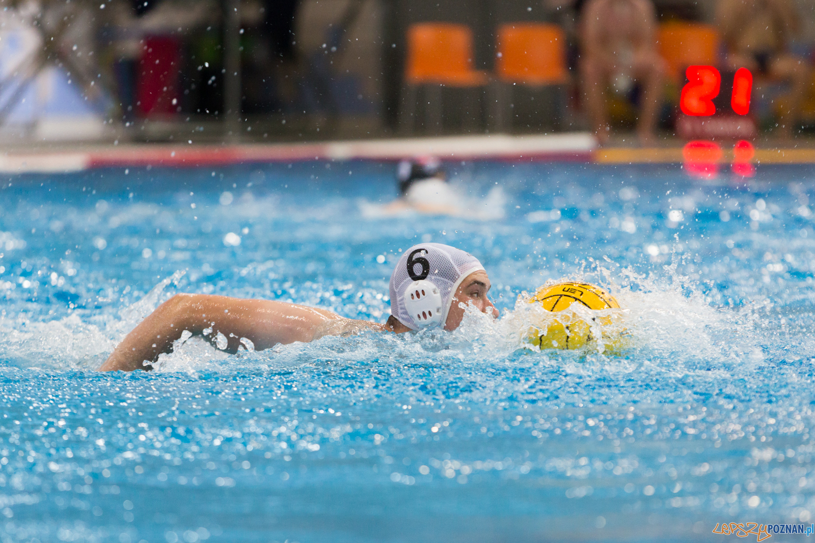 Waterpolo Poznań - Arkonia Szczecin Foto: lepszyPOZNAN.pl/Piotr Rychter Waterpolo Poznań - Arkonia Szczecin Foto: lepszyPOZNAN.pl/Piotr Rychter