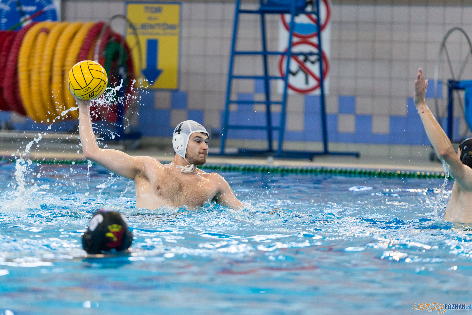 Waterpolo Poznań - Arkonia Szczecin Foto: lepszyPOZNAN.pl/Piotr Rychter Waterpolo Poznań - Arkonia Szczecin Foto: lepszyPOZNAN.pl/Piotr Rychter