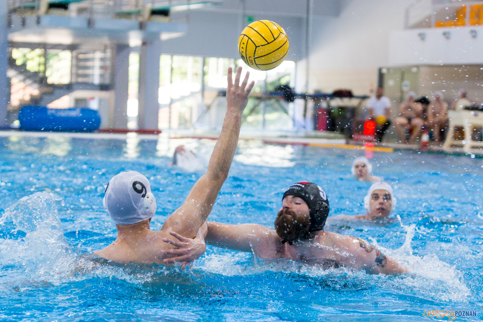 Waterpolo Poznań - Arkonia Szczecin Foto: lepszyPOZNAN.pl/Piotr Rychter Waterpolo Poznań - Arkonia Szczecin Foto: lepszyPOZNAN.pl/Piotr Rychter