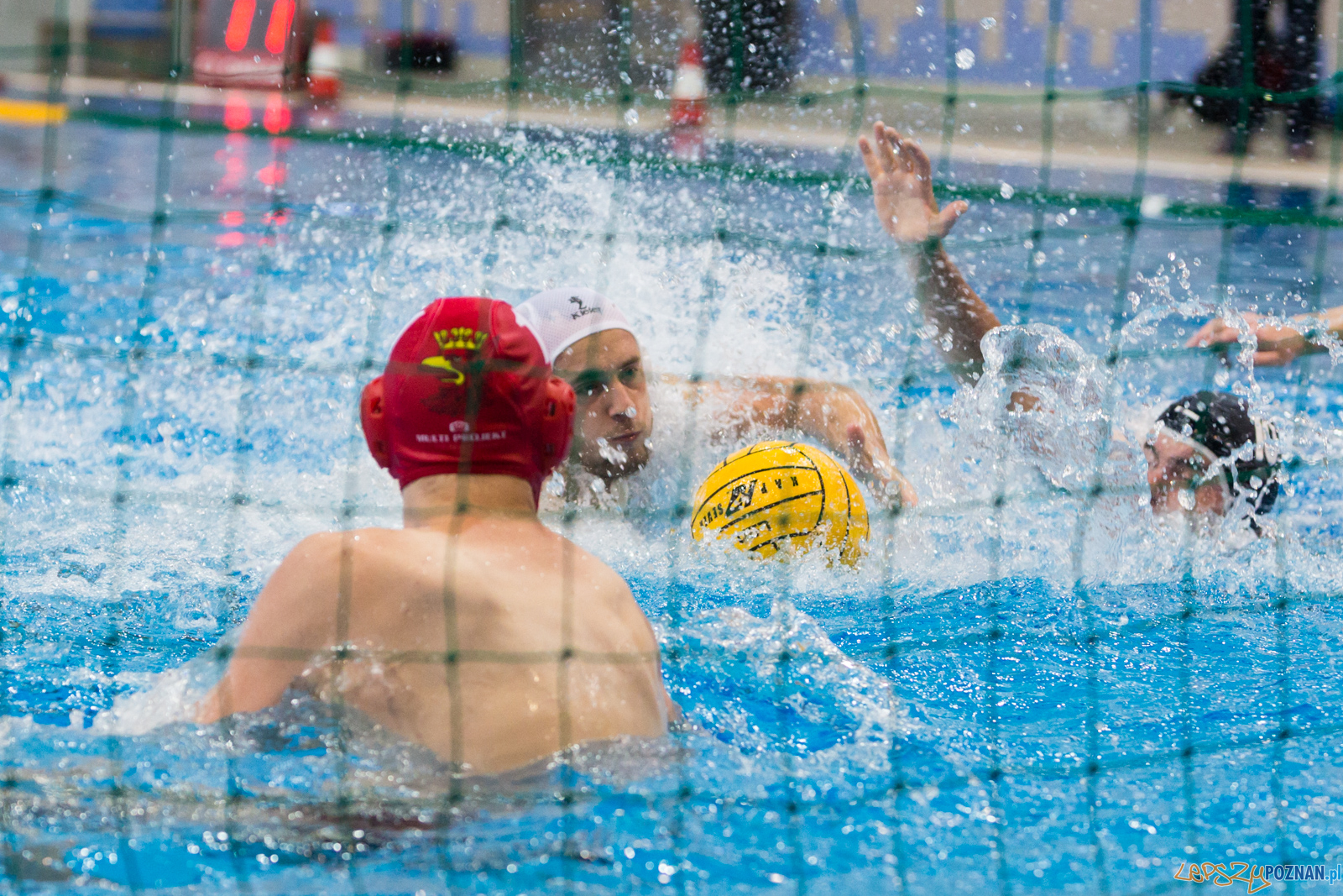 Waterpolo Poznań - Arkonia Szczecin Foto: lepszyPOZNAN.pl/Piotr Rychter Waterpolo Poznań - Arkonia Szczecin Foto: lepszyPOZNAN.pl/Piotr Rychter