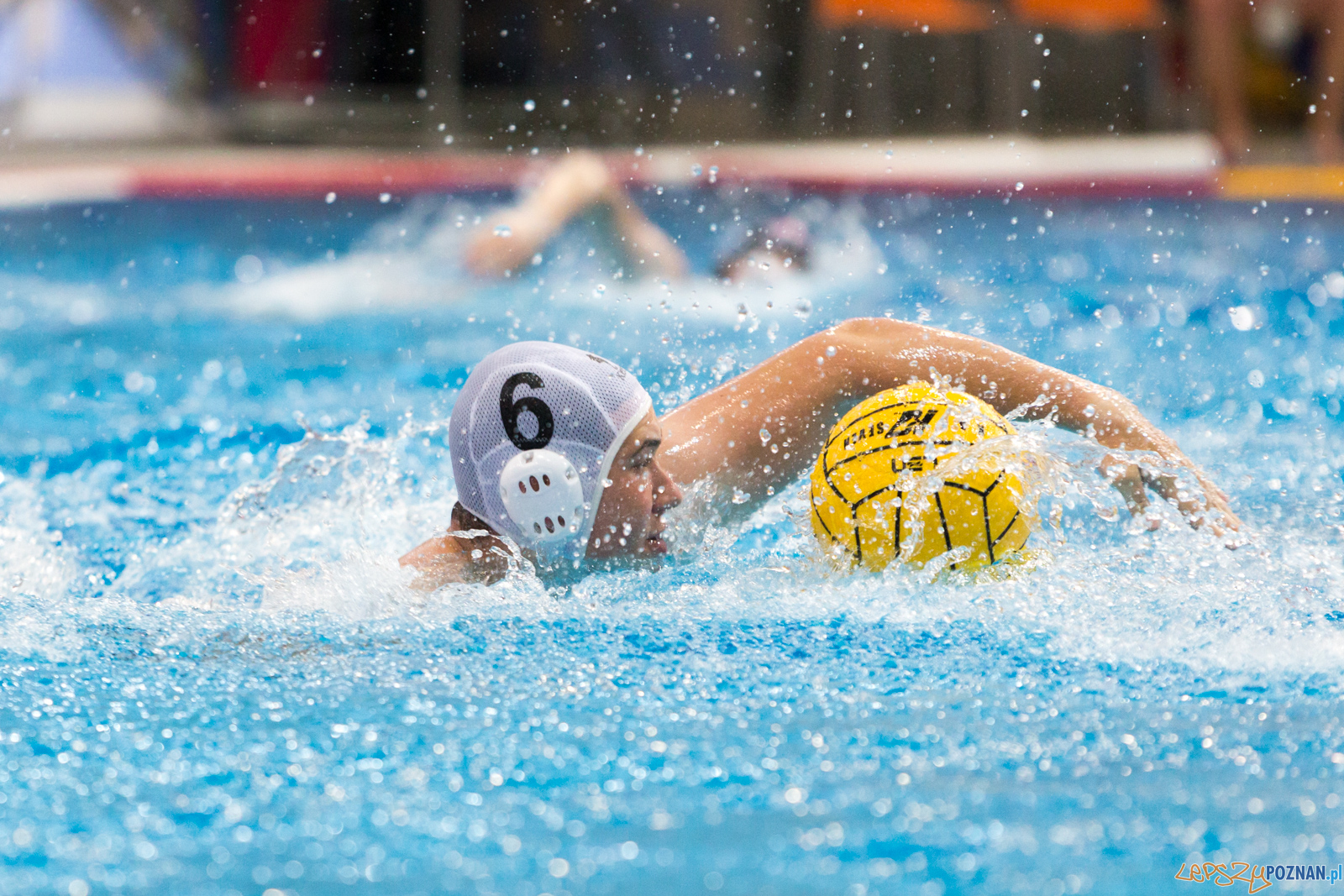 Waterpolo Poznań - Arkonia Szczecin Foto: lepszyPOZNAN.pl/Piotr Rychter Waterpolo Poznań - Arkonia Szczecin Foto: lepszyPOZNAN.pl/Piotr Rychter
