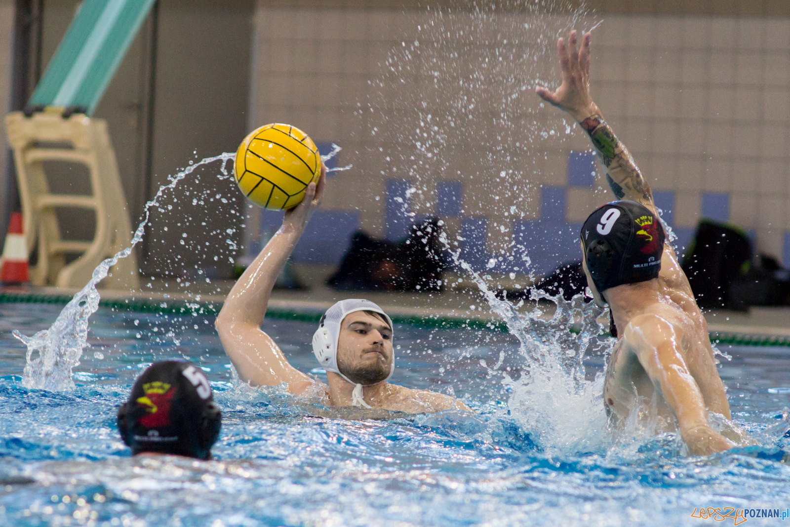KS Waterpolo Poznań - Arkonia Szczecin Foto: lepszyPOZNAN.pl / Ewelina Jaśkowiak KS Waterpolo Poznań - Arkonia Szczecin Foto: lepszyPOZNAN.pl / Ewelina Jaśkowiak