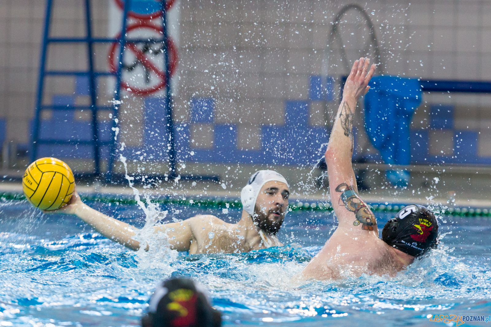 Waterpolo Poznań - Arkonia Szczecin Foto: lepszyPOZNAN.pl/Piotr Rychter Waterpolo Poznań - Arkonia Szczecin Foto: lepszyPOZNAN.pl/Piotr Rychter