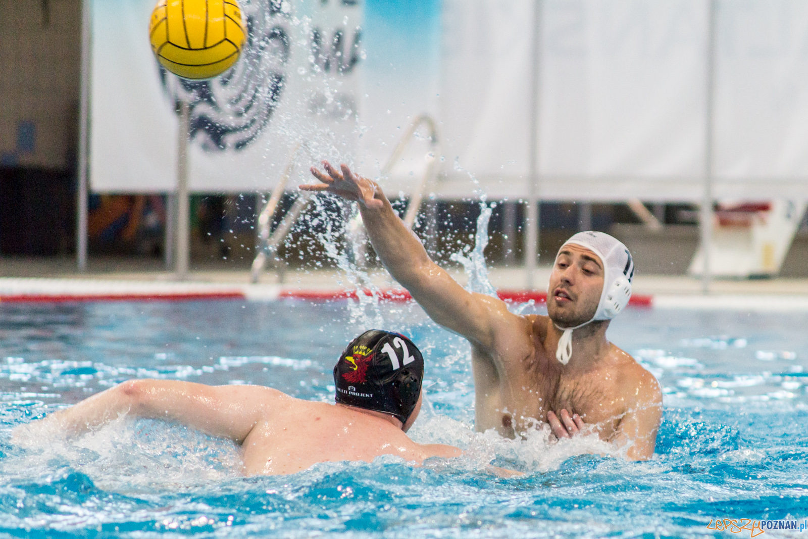 KS Waterpolo Poznań - Arkonia Szczecin Foto: lepszyPOZNAN.pl / Ewelina Jaśkowiak KS Waterpolo Poznań - Arkonia Szczecin Foto: lepszyPOZNAN.pl / Ewelina Jaśkowiak