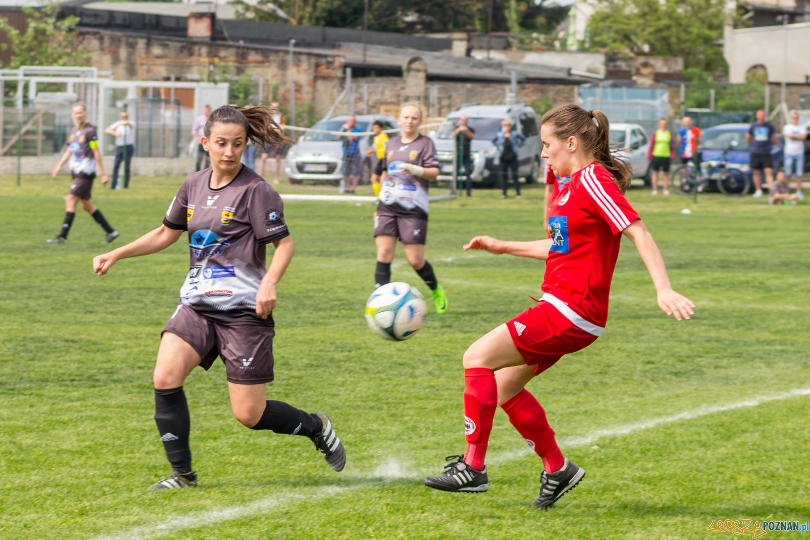 TS Polonia Poznań vs MUKS "Dargfil" Tomaszów Mazowiecki Foto: lepszyPOZNAN.pl / Ewelina Jaśkowiak TS Polonia Poznań vs MUKS "Dargfil" Tomaszów Mazowiecki Foto: lepszyPOZNAN.pl / Ewelina Jaśkowiak