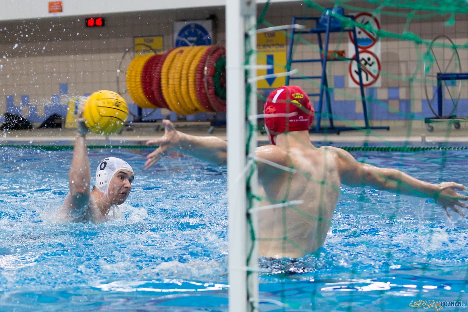 Waterpolo Poznań - Arkonia Szczecin Foto: lepszyPOZNAN.pl/Piotr Rychter Waterpolo Poznań - Arkonia Szczecin Foto: lepszyPOZNAN.pl/Piotr Rychter