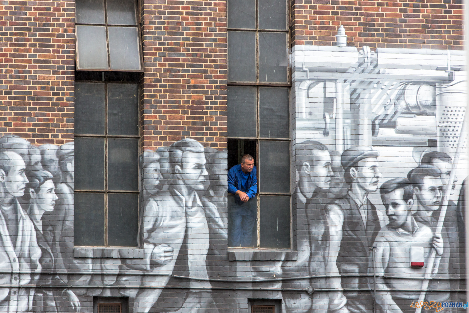 Bieg Lotto Poznański Czerwiec '56 Foto: lepszyPOZNAN.pl/Piotr Rychter Bieg Lotto Poznański Czerwiec '56 Foto: lepszyPOZNAN.pl/Piotr Rychter