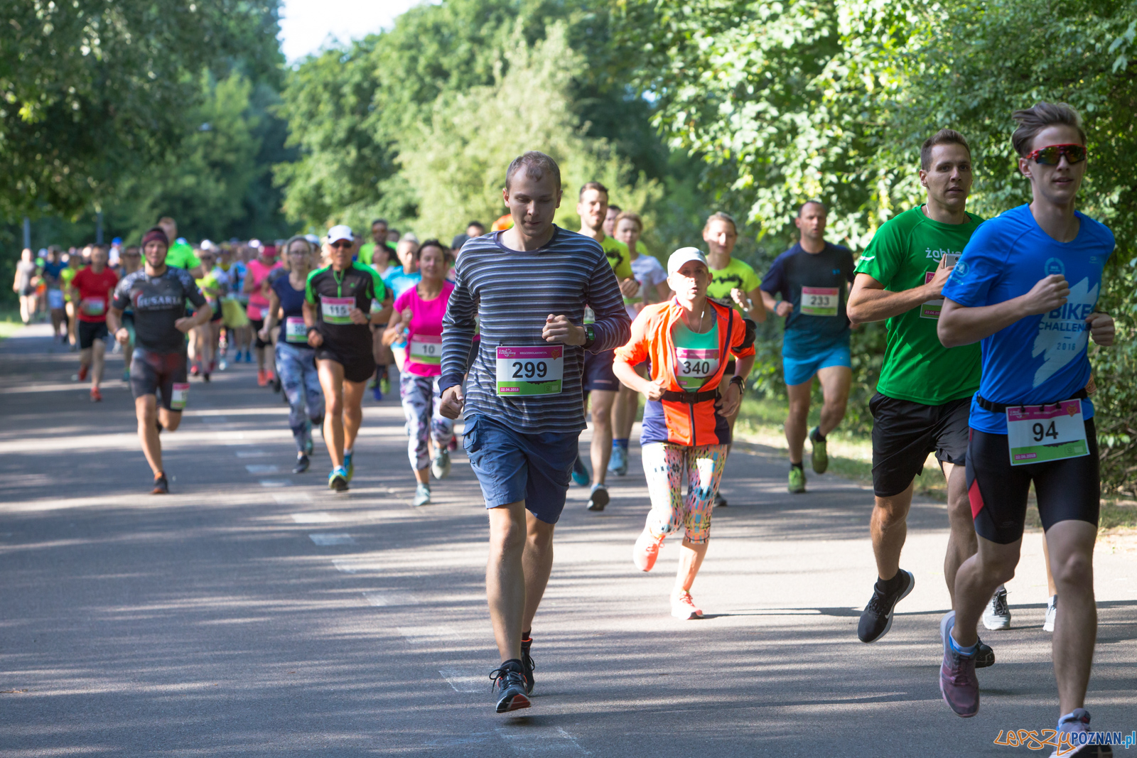 6. Bieg Czekoladowy - Smak Lata Foto: lepszyPOZNAN.pl/Piotr Rychter 6. Bieg Czekoladowy - Smak Lata Foto: lepszyPOZNAN.pl/Piotr Rychter