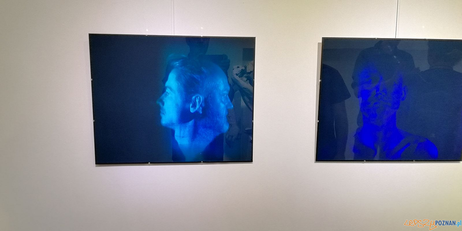 Wystawa Galeria JAK - rzeźby i hologramy Foto: Tomasz Dworek Wystawa Galeria JAK - rzeźby i hologramy Foto: Tomasz Dworek