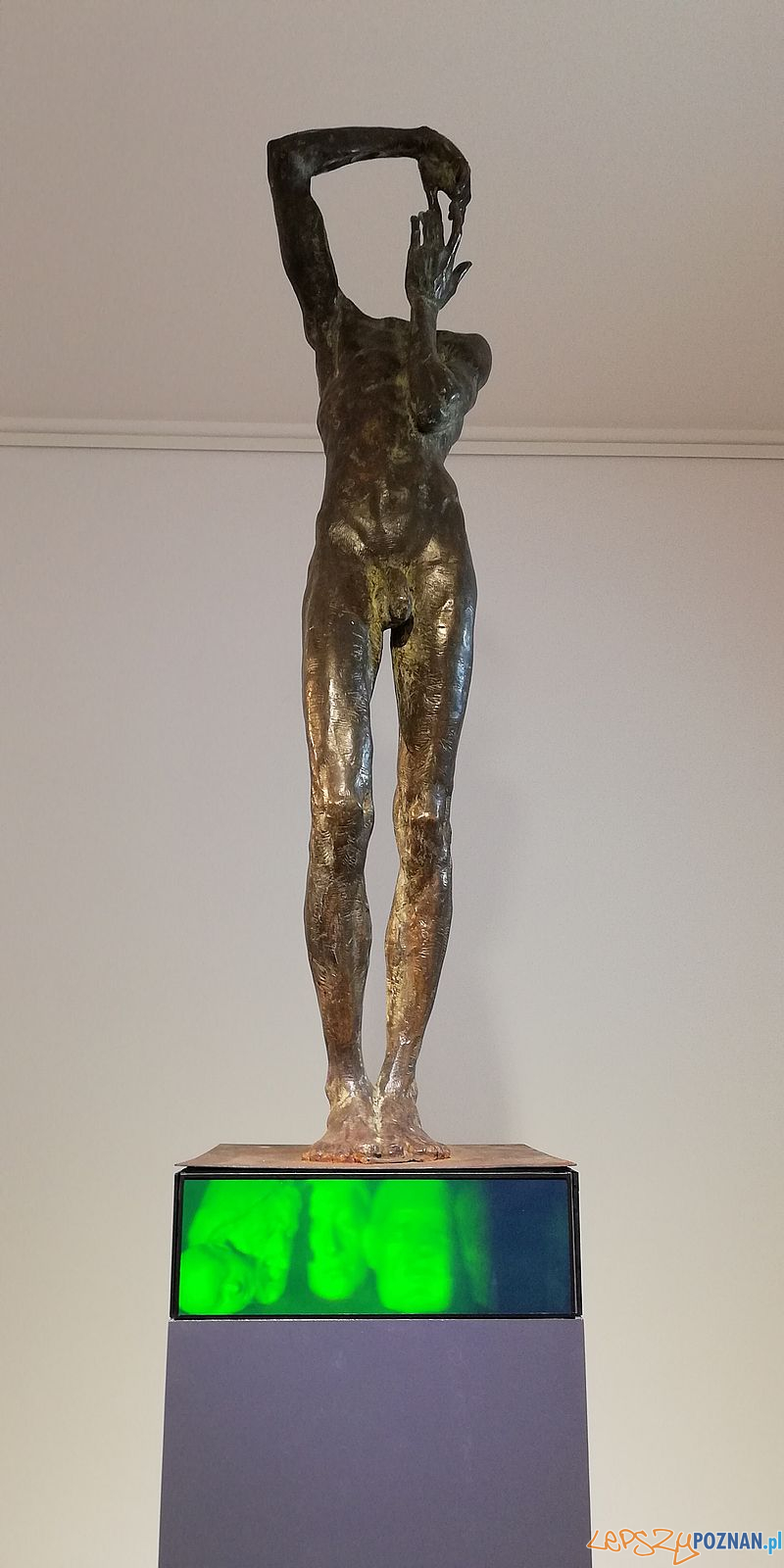 Wystawa Galeria JAK - rzeźby i hologramy Foto: Tomasz Dworek Wystawa Galeria JAK - rzeźby i hologramy Foto: Tomasz Dworek