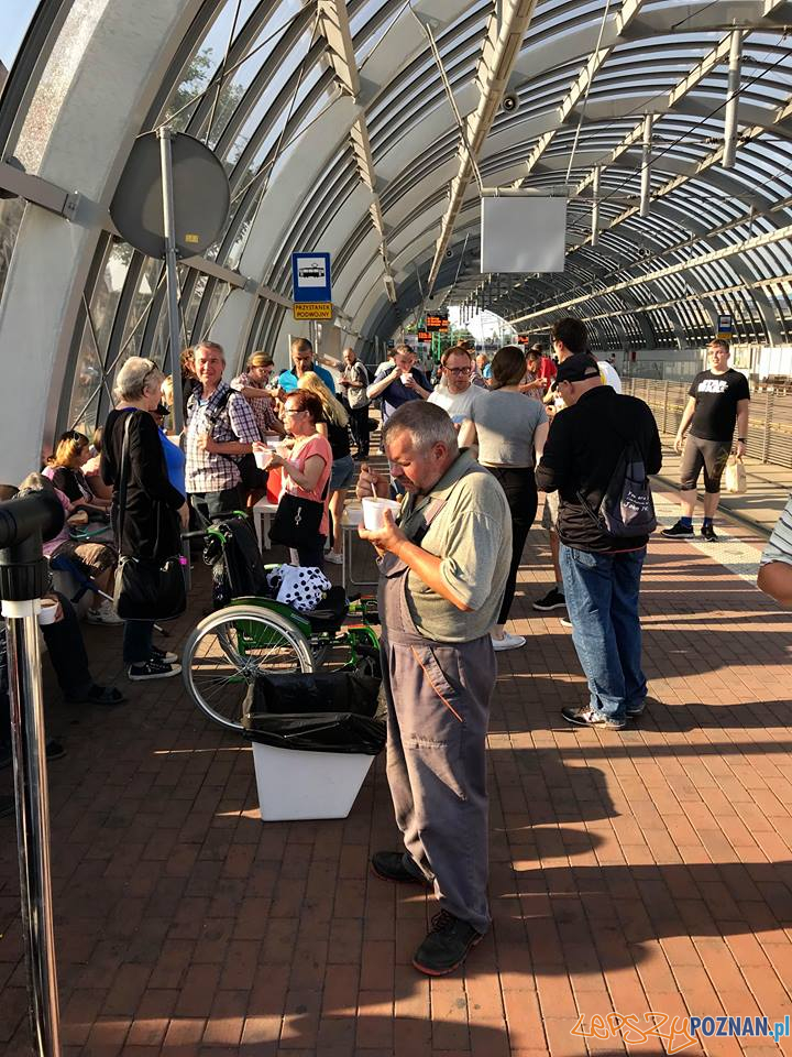 Zupa na Głównym Foto: materiały prasowe Zupa na Głównym Foto: materiały prasowe