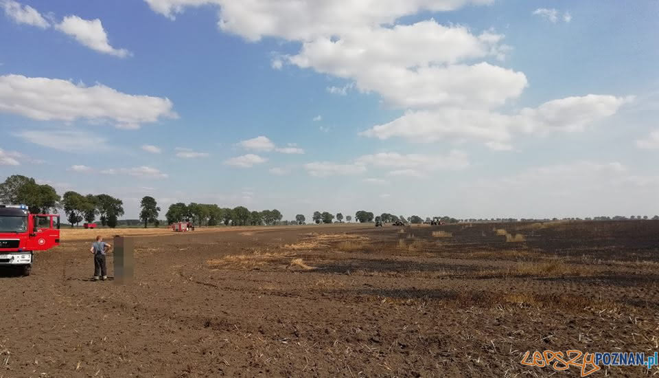 Płoną pola, płoną uprawy Foto: OSP Skoki / dh Adam Świętek Płoną pola, płoną uprawy Foto: OSP Skoki / dh Adam Świętek