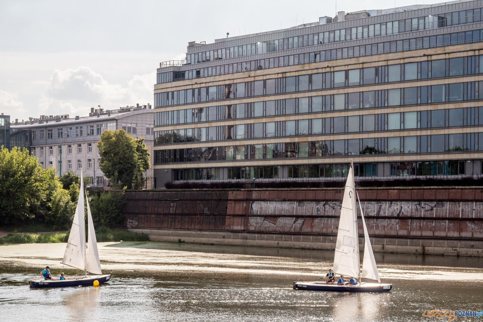Regaty Zelglarskie Rzeczne Match Racing Foto: lepszyPOZNAN.pl / Ewelina Jaśkowiak Regaty Zelglarskie Rzeczne Match Racing Foto: lepszyPOZNAN.pl / Ewelina Jaśkowiak