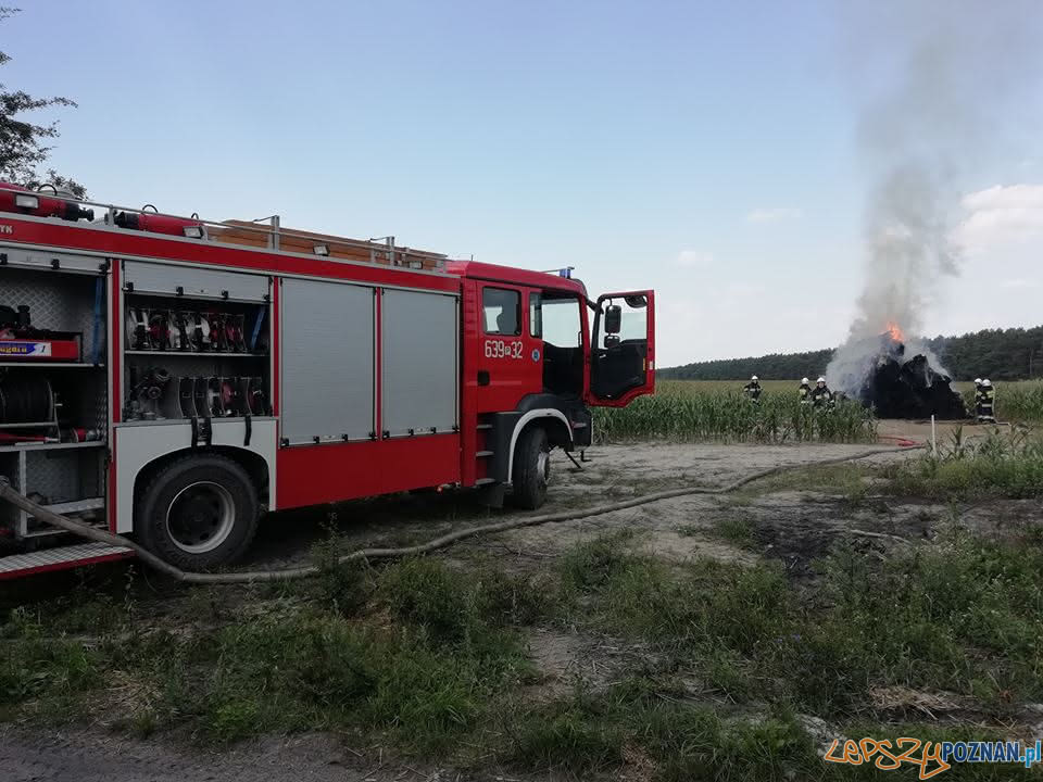 Płoną pola, płoną uprawy Foto: OSP Skoki / dh Adam Świętek Płoną pola, płoną uprawy Foto: OSP Skoki / dh Adam Świętek