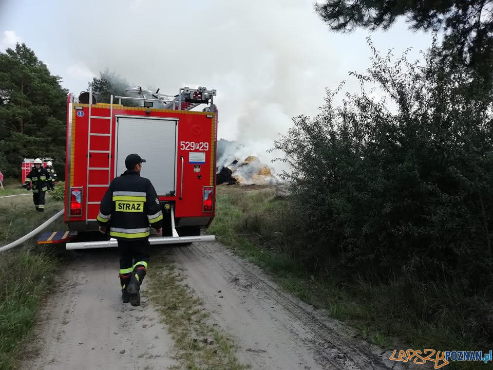 Płoną pola, płoną uprawy Foto: OSP Skoki / dh Adam Świętek Płoną pola, płoną uprawy Foto: OSP Skoki / dh Adam Świętek