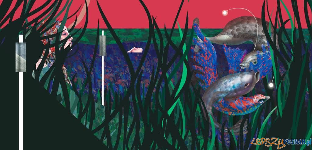 Snutne piosenki Foto: Snutne piosenki Foto: