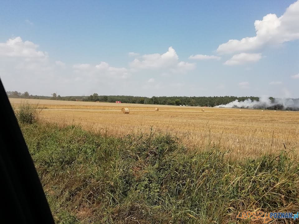 Płoną pola, płoną uprawy Foto: OSP Skoki / dh Adam Świętek Płoną pola, płoną uprawy Foto: OSP Skoki / dh Adam Świętek