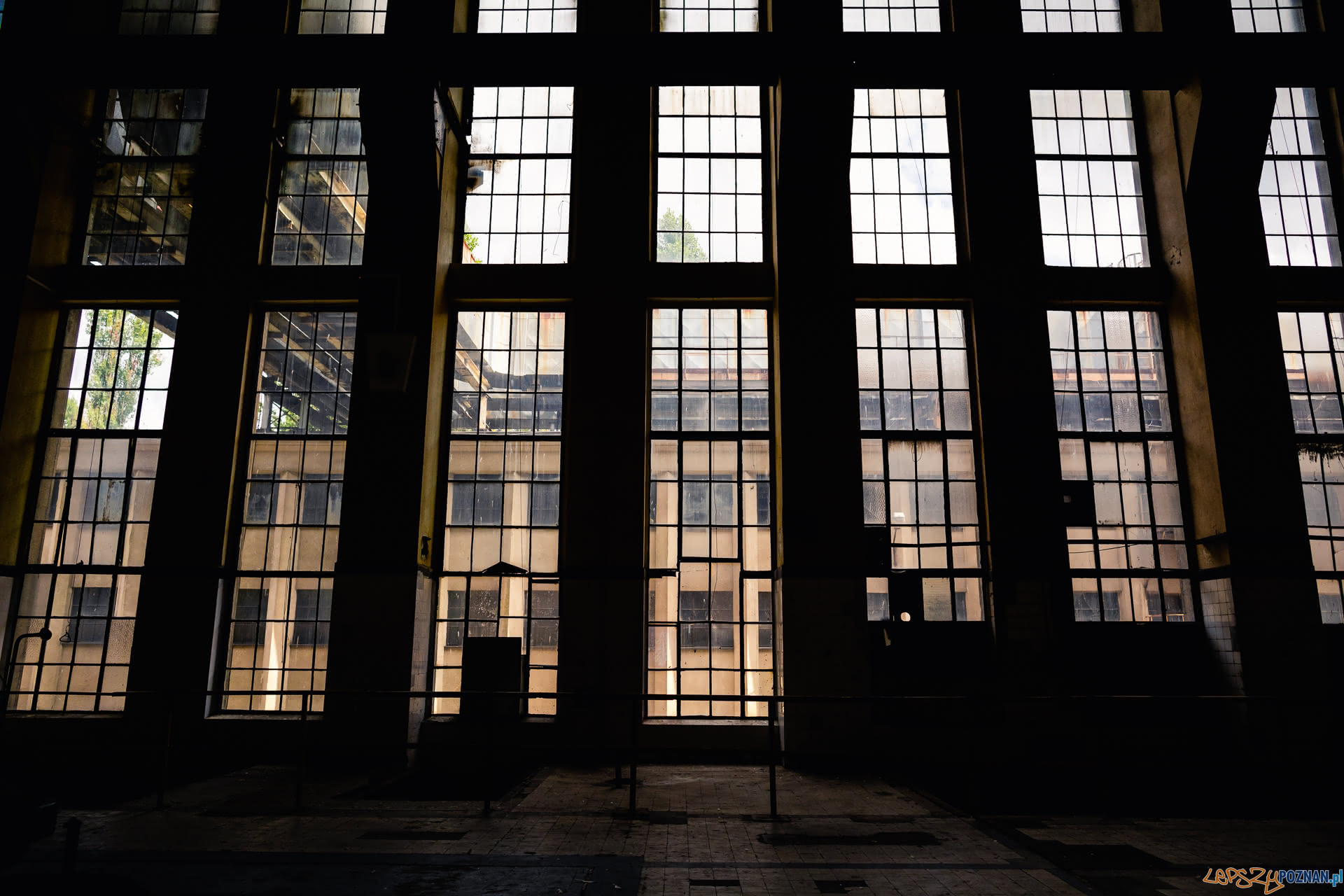 VI Dni Twierdzy Poznan Foto: Marek Zakrzewski VI Dni Twierdzy Poznan Foto: Marek Zakrzewski