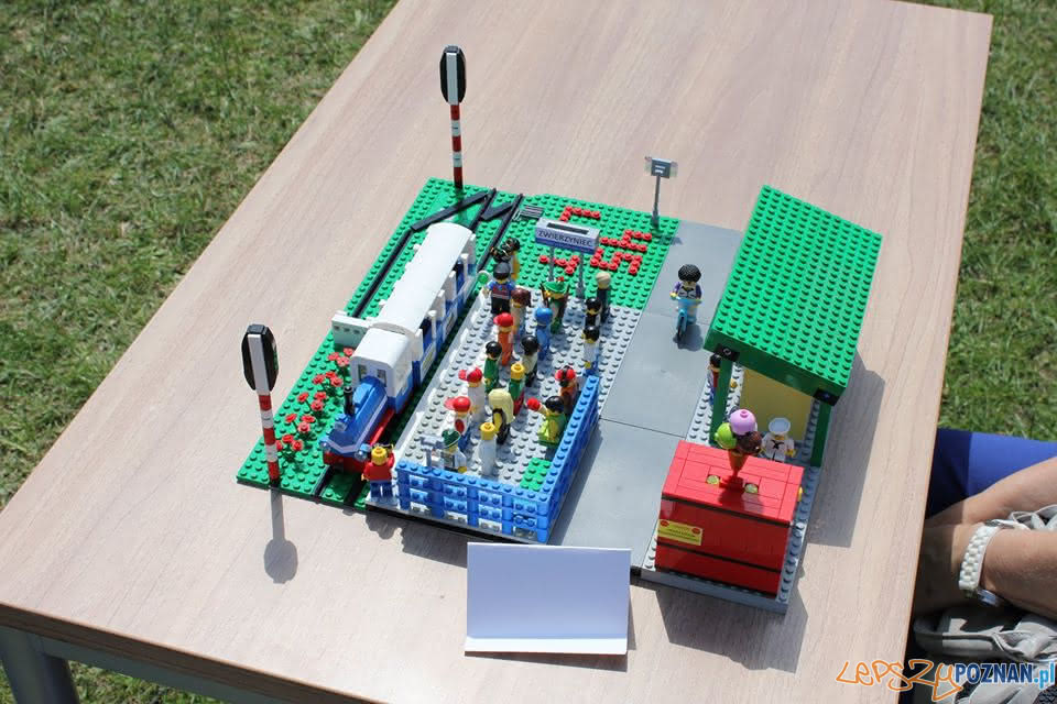 Mateusz Buduje Foto: materiały prasowe Mateusz Buduje Foto: materiały prasowe