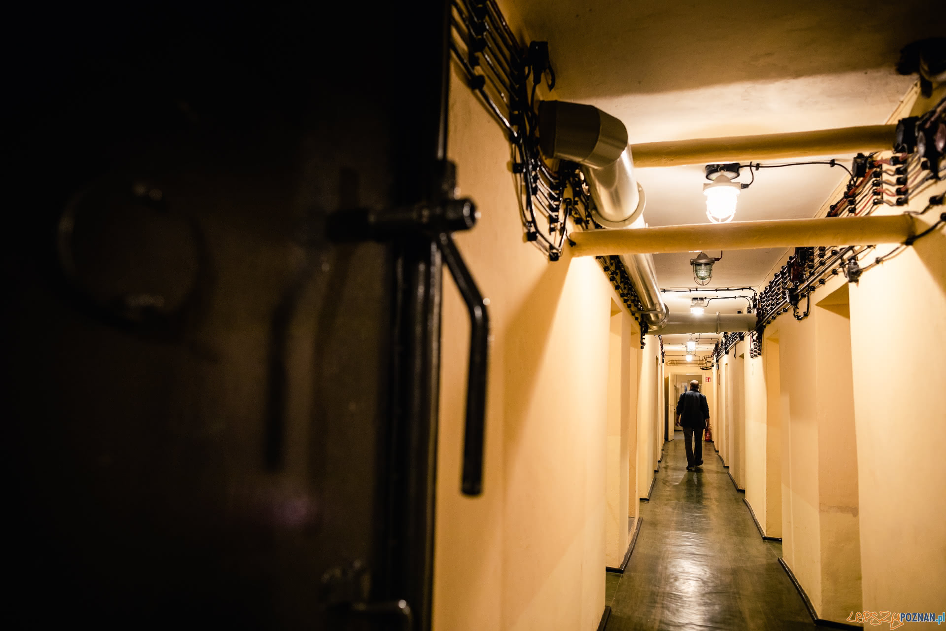 VI Dni Twierdzy Poznan Foto: Marek Zakrzewski VI Dni Twierdzy Poznan Foto: Marek Zakrzewski