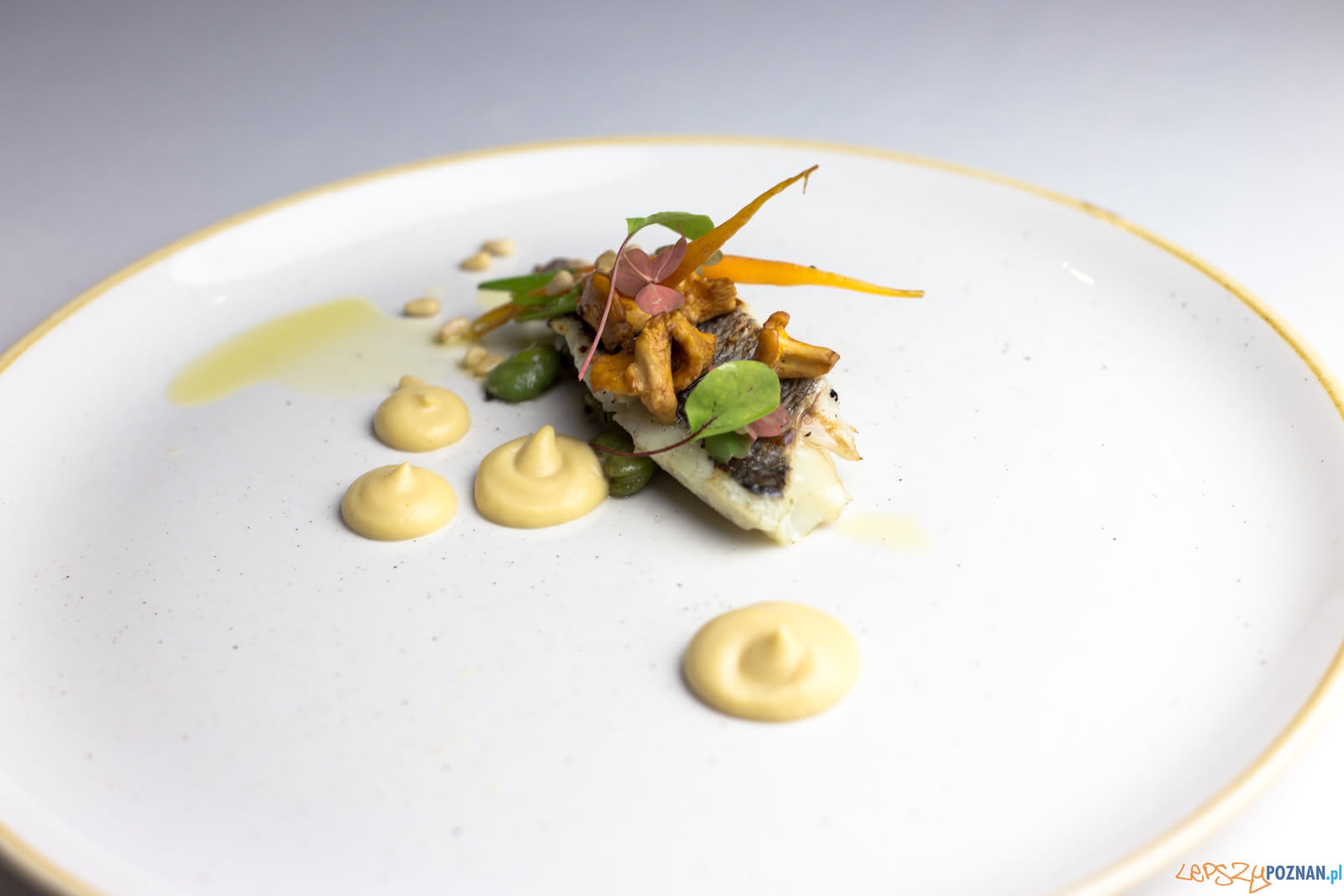 Hotel Moderno Foto: lepszyPOZNAN.pl/Piotr Rychter Hotel Moderno Foto: lepszyPOZNAN.pl/Piotr Rychter