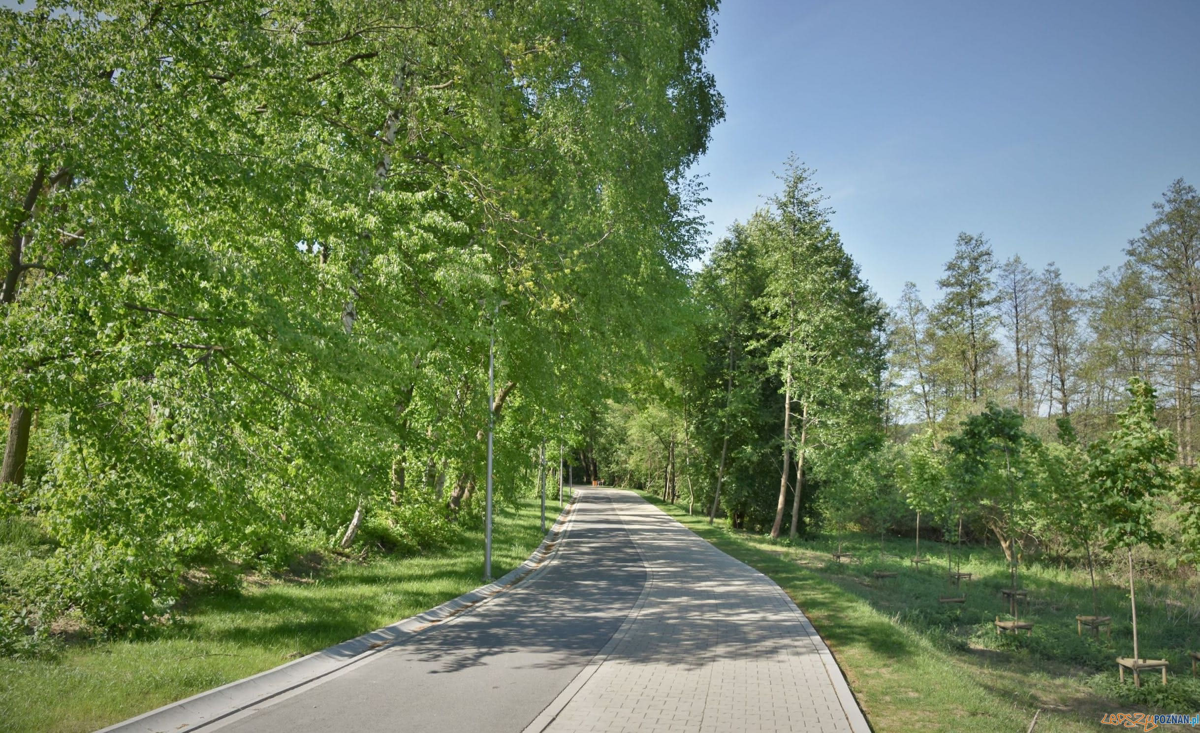 Aleja Błachnio w Swarzędzu Foto: UMiG w Swarzędzu Aleja Błachnio w Swarzędzu Foto: UMiG w Swarzędzu