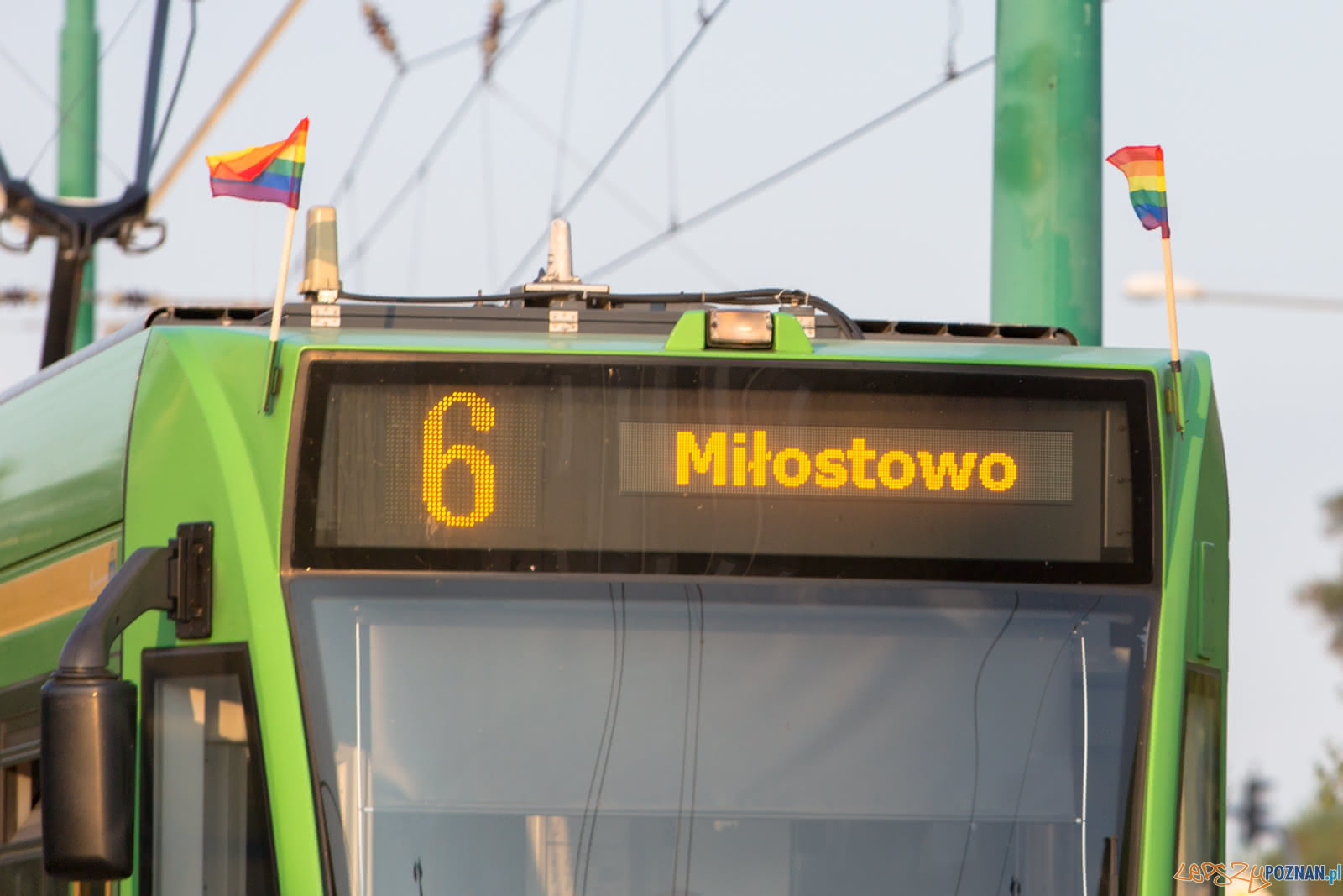 Tęczowe bimby Foto: lepszyPOZNAN.pl/Piotr Rychter Tęczowe bimby Foto: lepszyPOZNAN.pl/Piotr Rychter