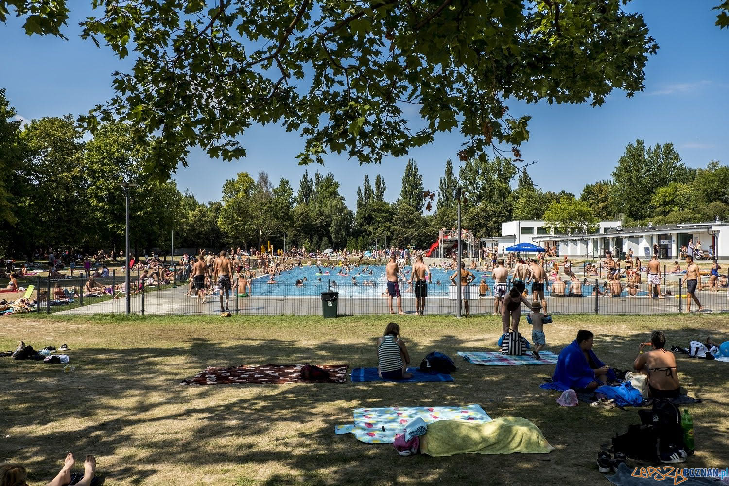 Basen w Parku Kasprowicza (3) Foto: Adam Ciereszko / POSiR Basen w Parku Kasprowicza (3) Foto: Adam Ciereszko / POSiR
