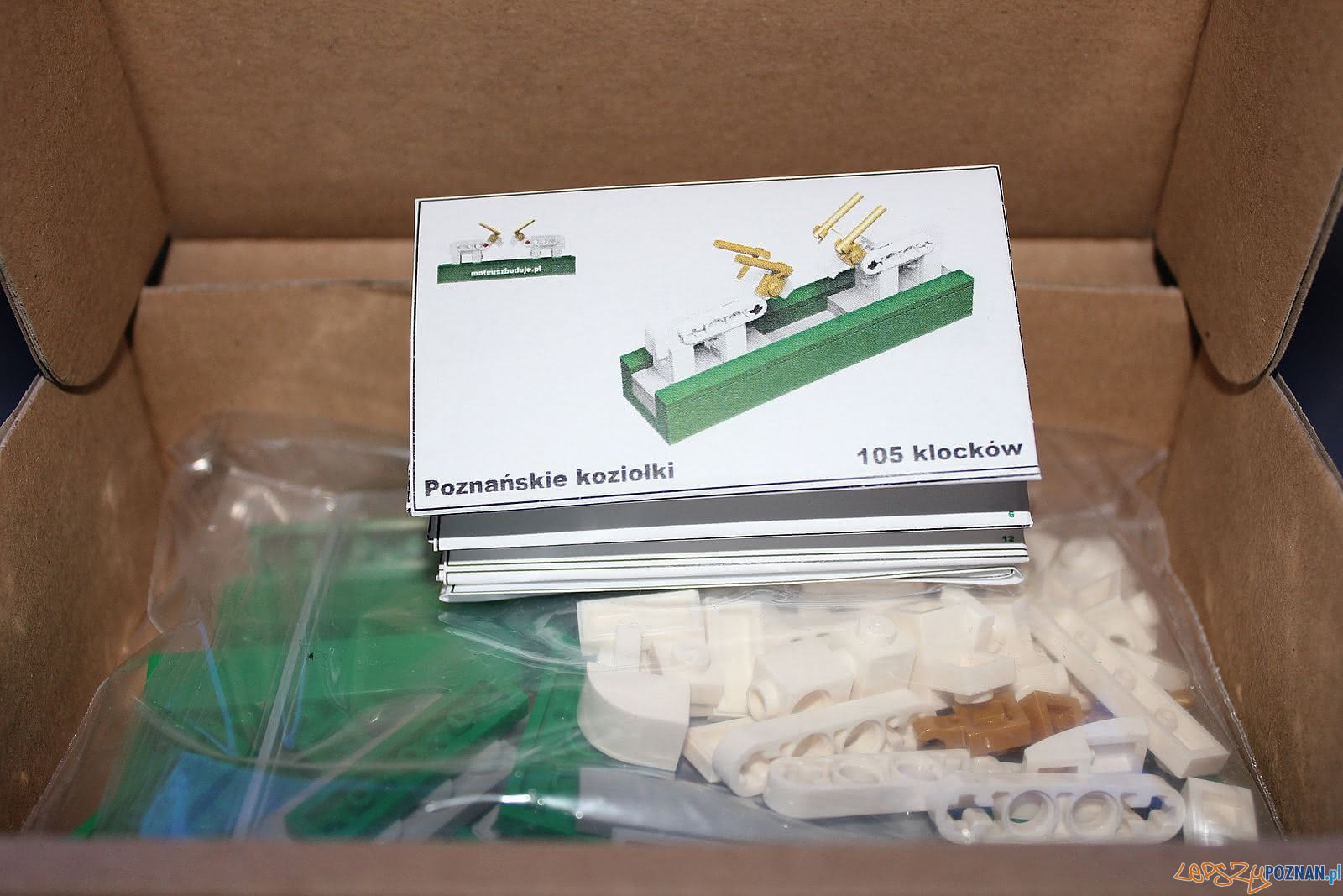 Mateusz Buduje - Koziołki Foto: materiały prasowe Mateusz Buduje - Koziołki Foto: materiały prasowe