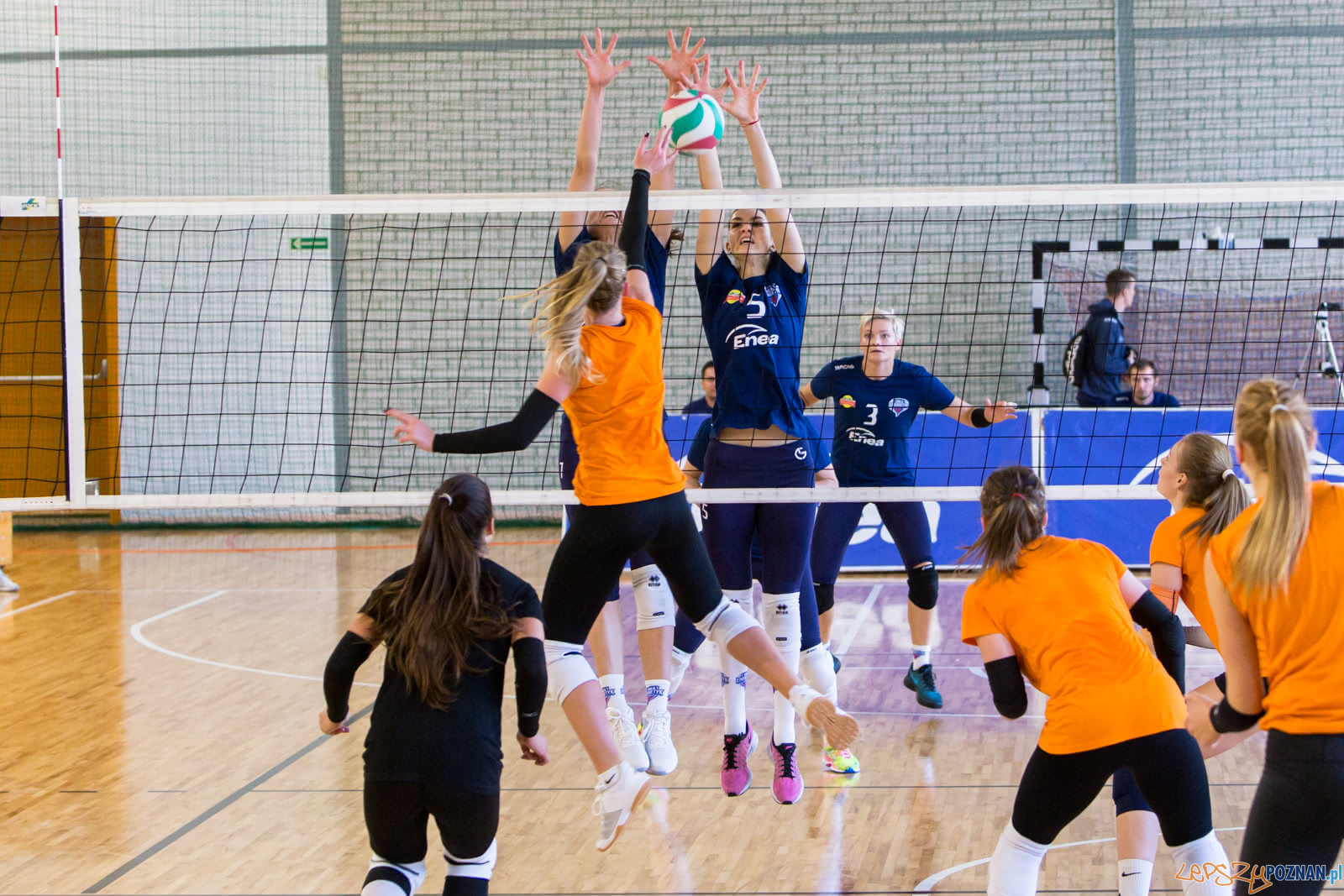 60-lat ENEA AZS Poznań - ENEA AZS Poznań - UNI Opole Foto: lepszyPOZNAN.pl/Piotr Rychter 60-lat ENEA AZS Poznań - ENEA AZS Poznań - UNI Opole Foto: lepszyPOZNAN.pl/Piotr Rychter