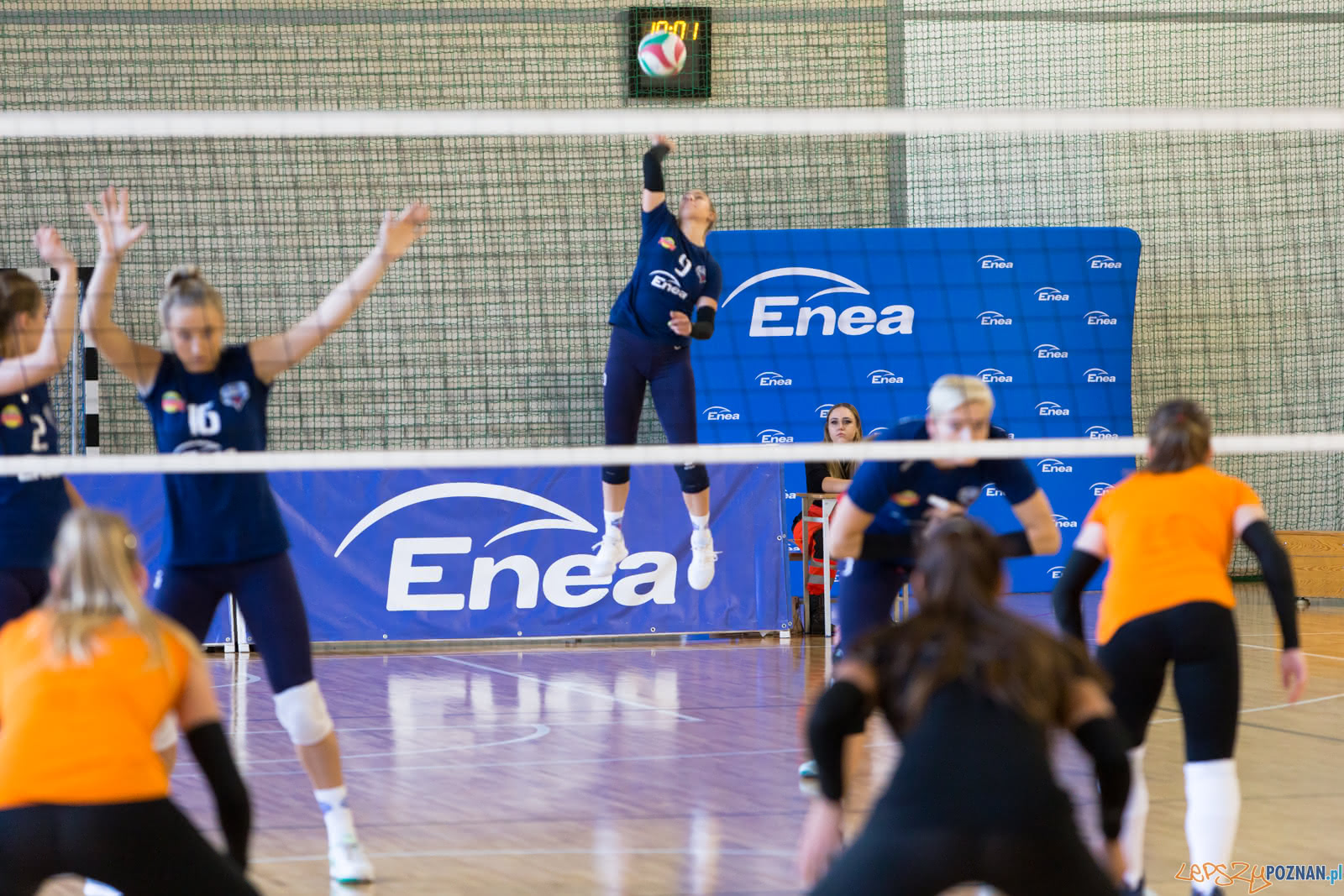 60-lat ENEA AZS Poznań - ENEA AZS Poznań - UNI Opole Foto: lepszyPOZNAN.pl/Piotr Rychter 60-lat ENEA AZS Poznań - ENEA AZS Poznań - UNI Opole Foto: lepszyPOZNAN.pl/Piotr Rychter