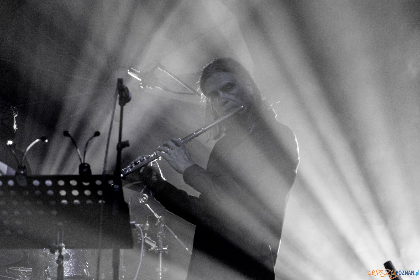 Zalewski Śpiewa Niemena Foto: lepszyPOZNAN.pl / Ewelina Jaśkowiak Zalewski Śpiewa Niemena Foto: lepszyPOZNAN.pl / Ewelina Jaśkowiak