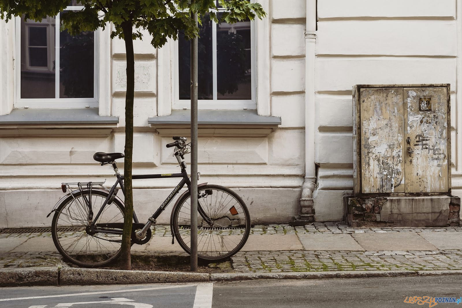 1-Nagroda-główna-Patryk-Rosiński-Zespół-Szkół-Zawodowych-nr-6(1) Foto: 1-Nagroda-główna-Patryk-Rosiński-Zespół-Szkół-Zawodowych-nr-6(1) Foto:
