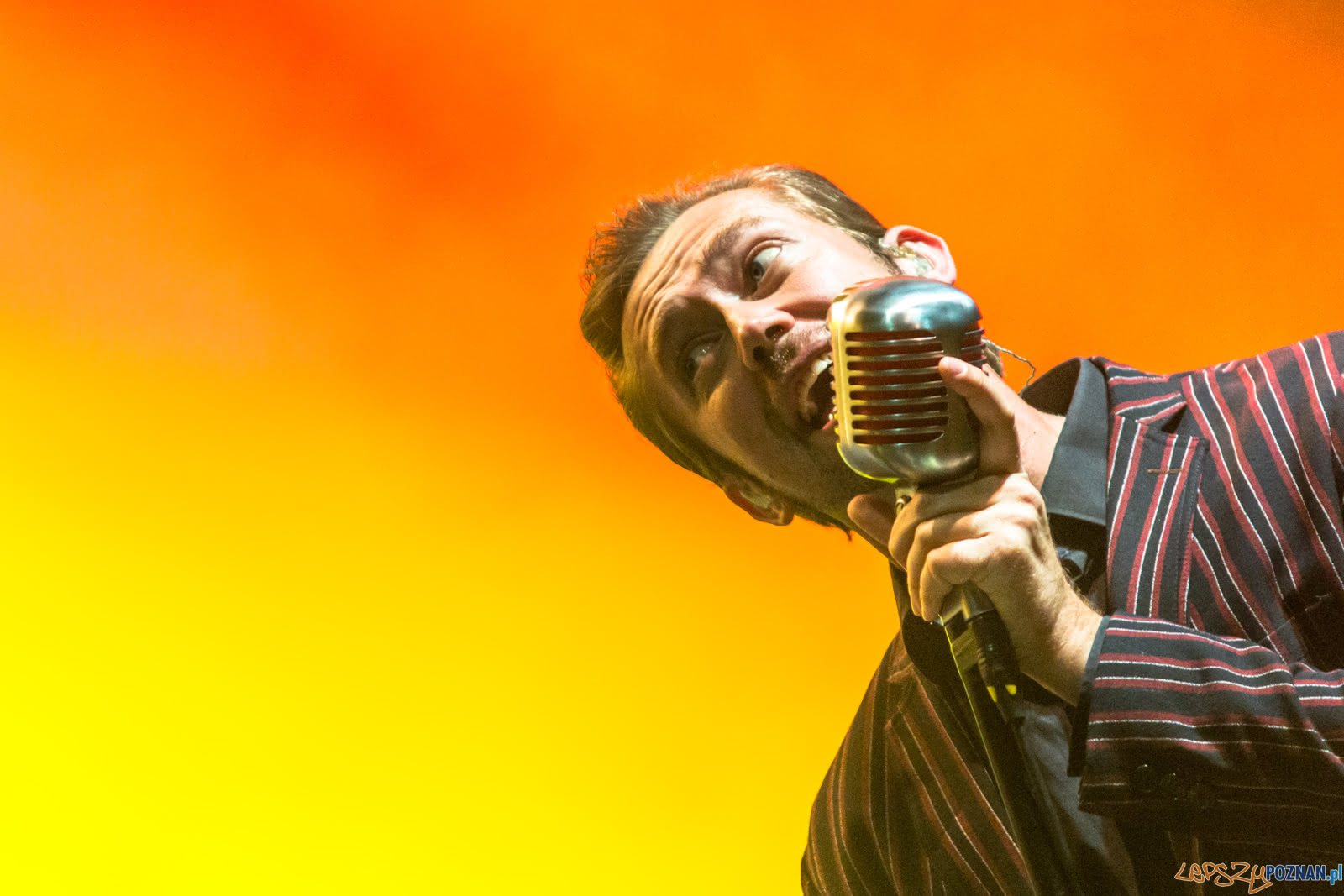 The Baseballs-3631 Foto: Ewelina Jaskowiak The Baseballs-3631 Foto: Ewelina Jaskowiak