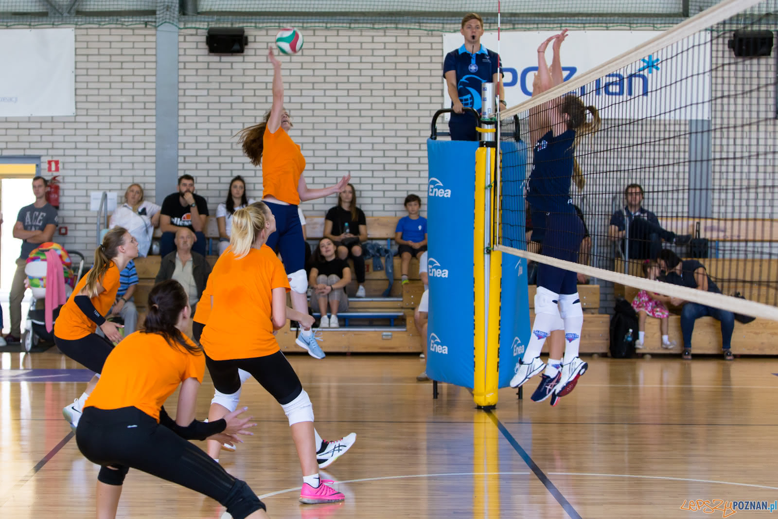 60-lat ENEA AZS Poznań - ENEA AZS Poznań - UNI Opole Foto: lepszyPOZNAN.pl/Piotr Rychter 60-lat ENEA AZS Poznań - ENEA AZS Poznań - UNI Opole Foto: lepszyPOZNAN.pl/Piotr Rychter