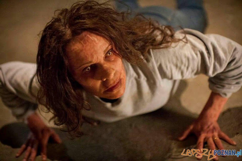 Obecność Foto: Obecność Foto: