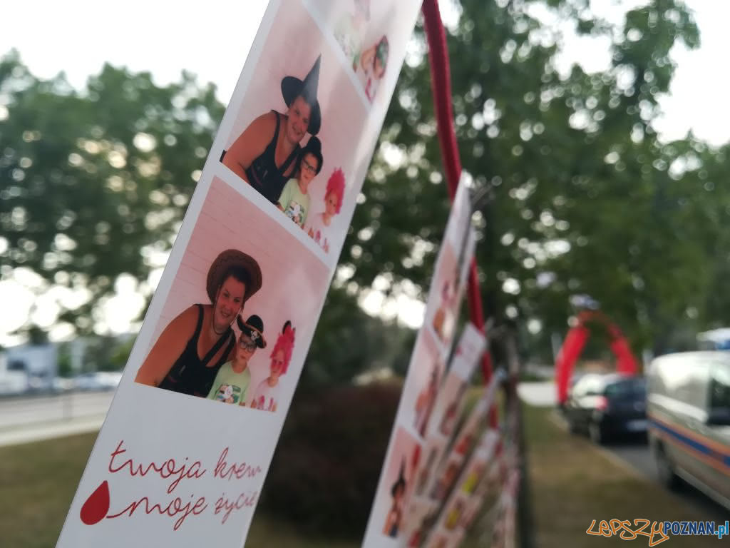 Atak wampirów nad Maltą Foto: materiały prasowe Atak wampirów nad Maltą Foto: materiały prasowe