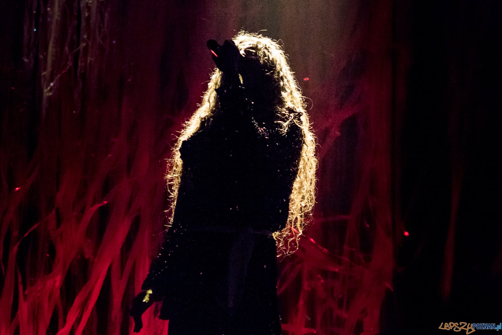 Michał Szpak "Classica Tour" Foto: lepszyPOZNAN.pl / Ewelina Jaśkowiak Michał Szpak "Classica Tour" Foto: lepszyPOZNAN.pl / Ewelina Jaśkowiak