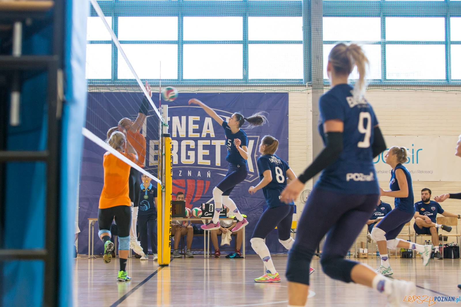 60-lat ENEA AZS Poznań - ENEA AZS Poznań - UNI Opole Foto: lepszyPOZNAN.pl/Piotr Rychter 60-lat ENEA AZS Poznań - ENEA AZS Poznań - UNI Opole Foto: lepszyPOZNAN.pl/Piotr Rychter