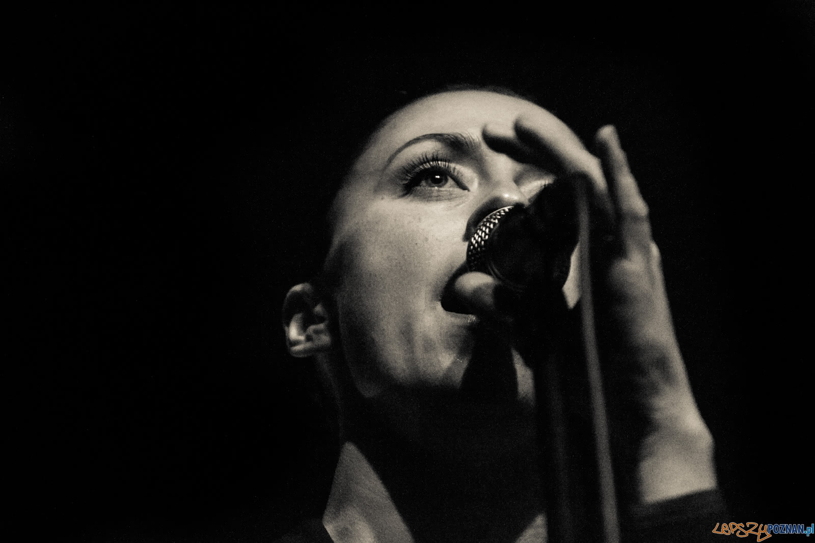 Zalewski Śpiewa Niemena Foto: lepszyPOZNAN.pl / Ewelina Jaśkowiak Zalewski Śpiewa Niemena Foto: lepszyPOZNAN.pl / Ewelina Jaśkowiak