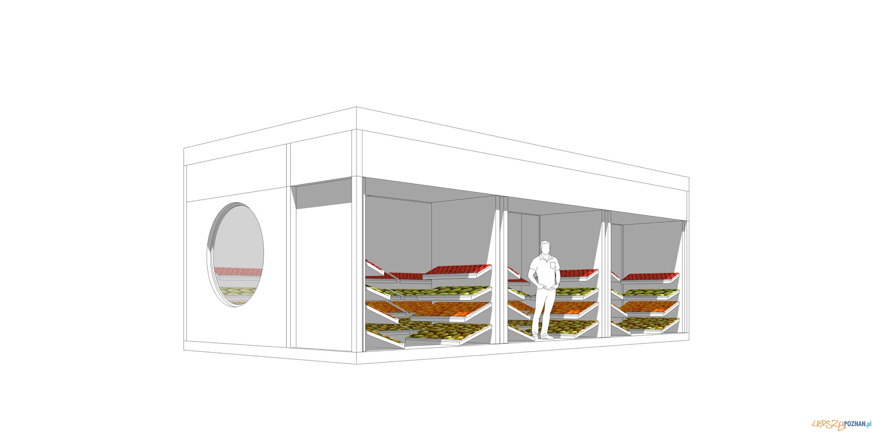 Projekt odbudowy warzywniaka Foto: Iwo Borkowicz Projekt odbudowy warzywniaka Foto: Iwo Borkowicz