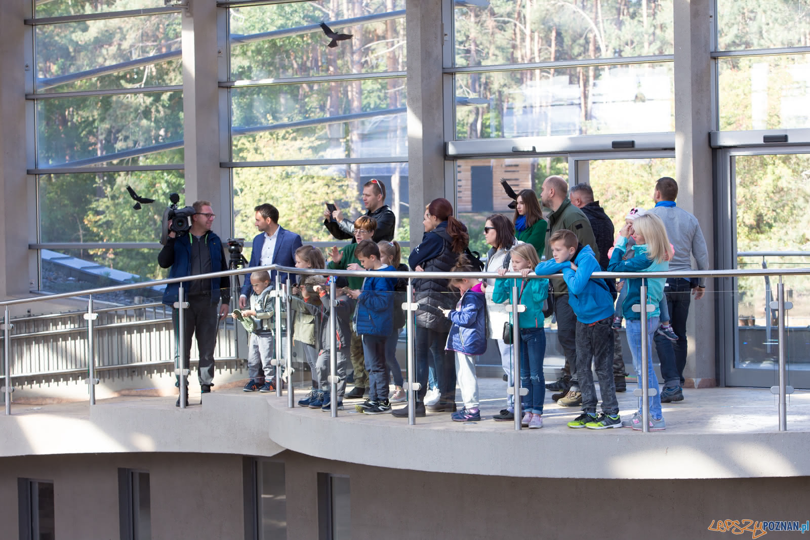 19. urodziny Słonia Ninio Foto: lepszyPOZNAN.pl/Piotr Rychter 19. urodziny Słonia Ninio Foto: lepszyPOZNAN.pl/Piotr Rychter