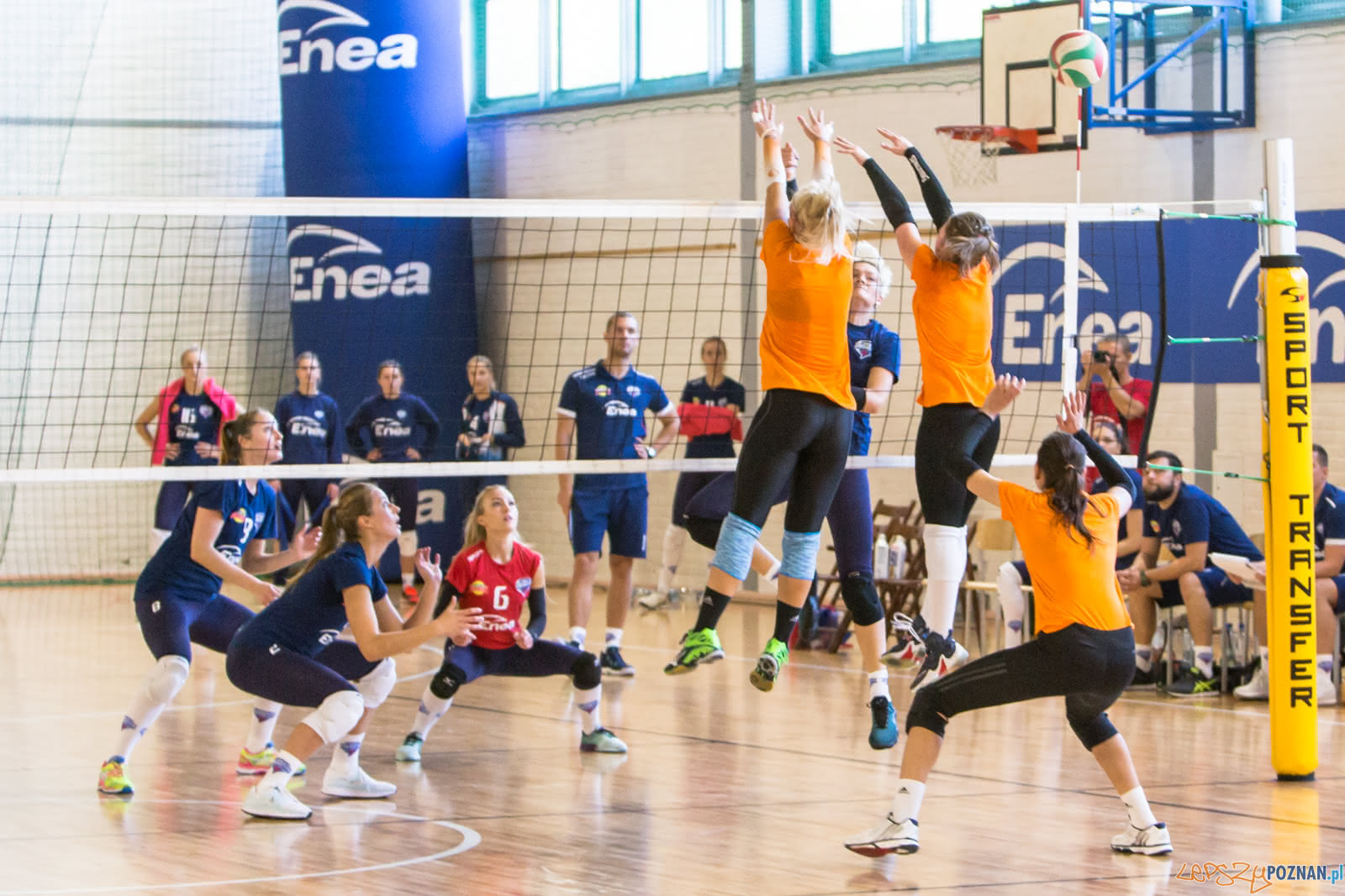 60-lat ENEA AZS Poznań - ENEA AZS Poznań - UNI Opole Foto: lepszyPOZNAN.pl/Piotr Rychter 60-lat ENEA AZS Poznań - ENEA AZS Poznań - UNI Opole Foto: lepszyPOZNAN.pl/Piotr Rychter