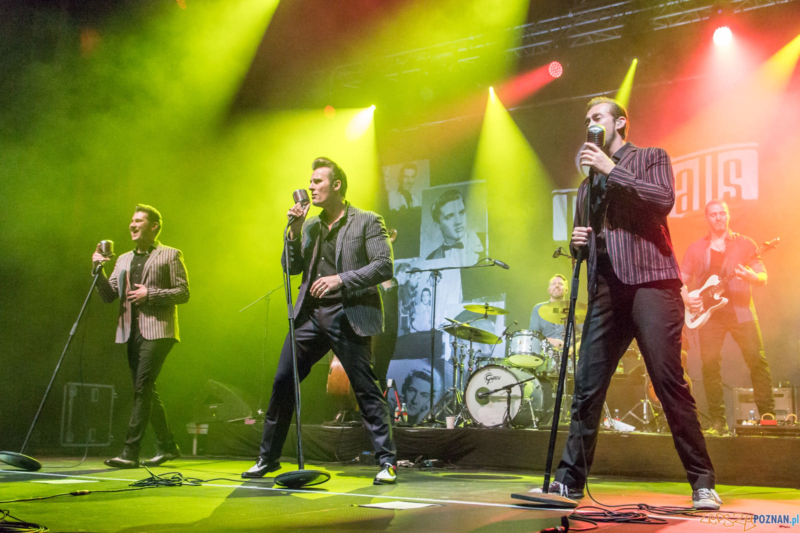 The Baseballs-3603 Foto: Ewelina Jaskowiak The Baseballs-3603 Foto: Ewelina Jaskowiak